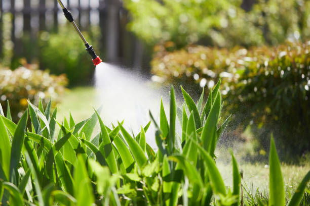 24/7 Emergency Mosquito Control experts in Bent Creek, NC
