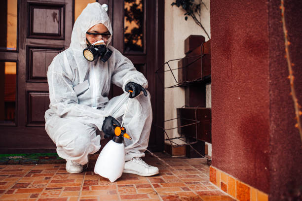 Reliable Mosquito Control contractor in Bent Creek, NC by Show Me Pest Control